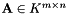 $\mathbf{A} \in K^{m \times n}$